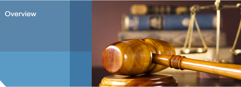 pg-litigation-overview