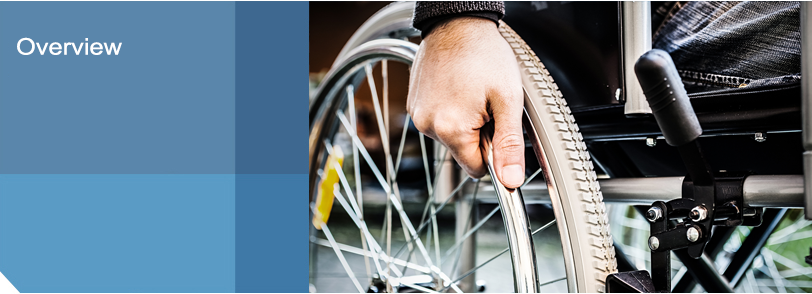 pg-plaintiffPersonalInjury-overview