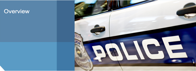 pg-lawEnforcementLitigationAndDefense-overview